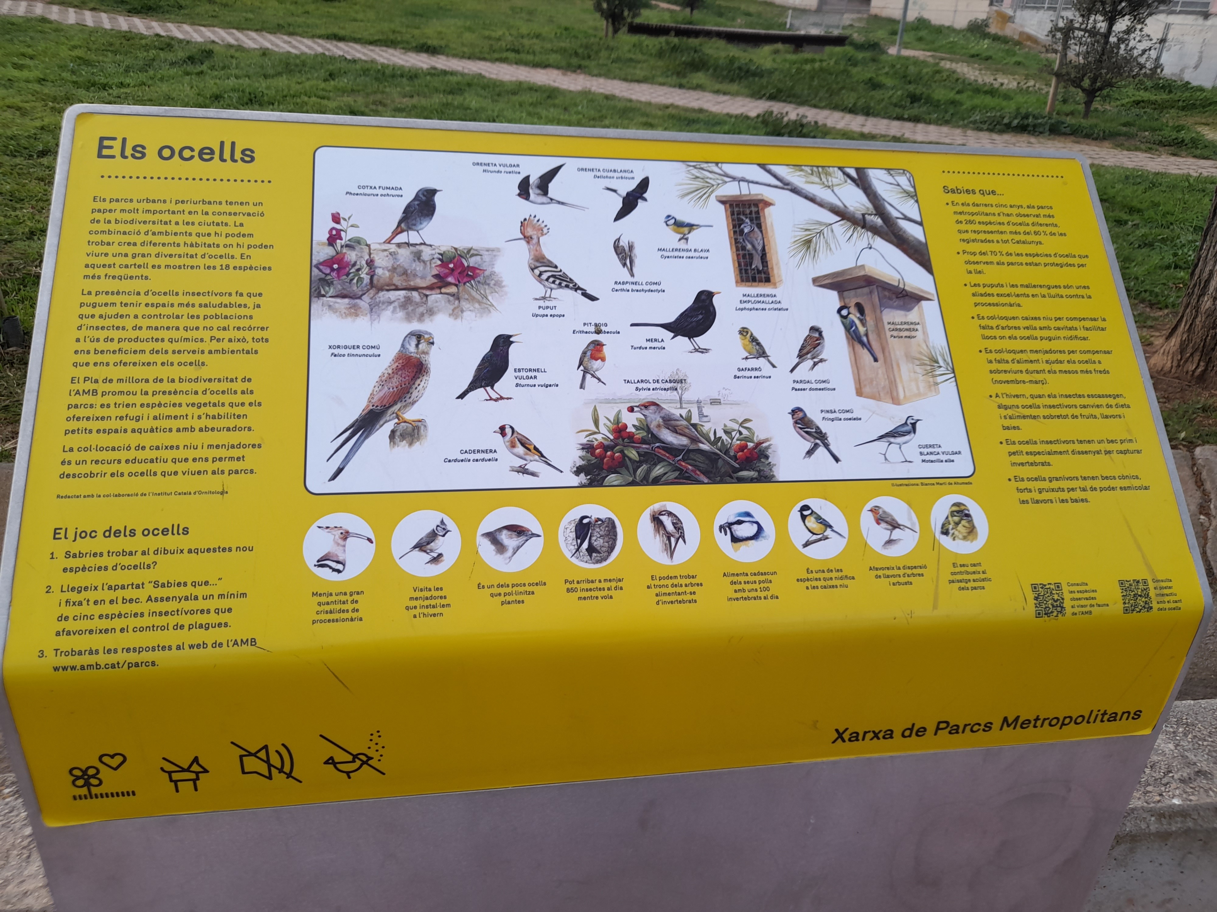 Imatge pels mitjans: Conèixer entorn natural de la vila 