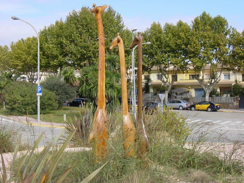 Imatge pels mitjans: Les rotondes del poble.