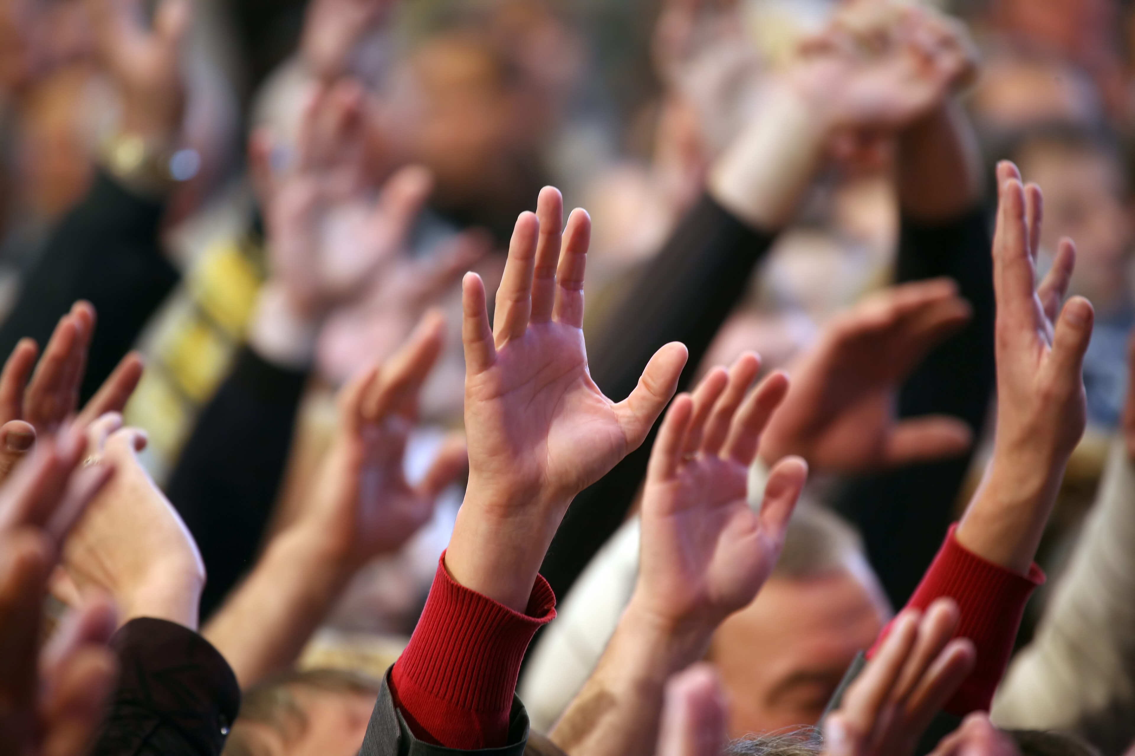 Imatge pels mitjans: Processos de consulta i/o opinió. 