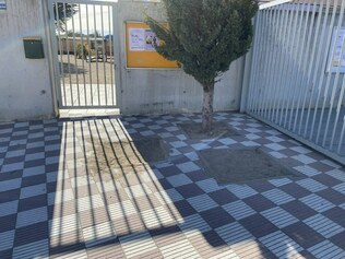 big_IMG_3952.jpg